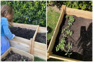 gardening planter box