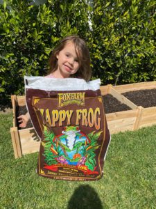 happy frog gardening